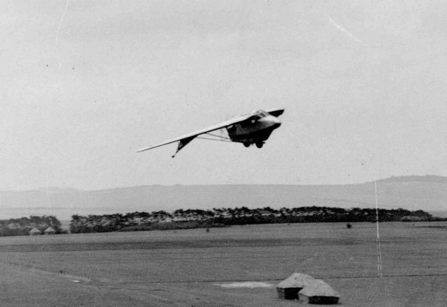 westland pterodactyl iv 0751-0146